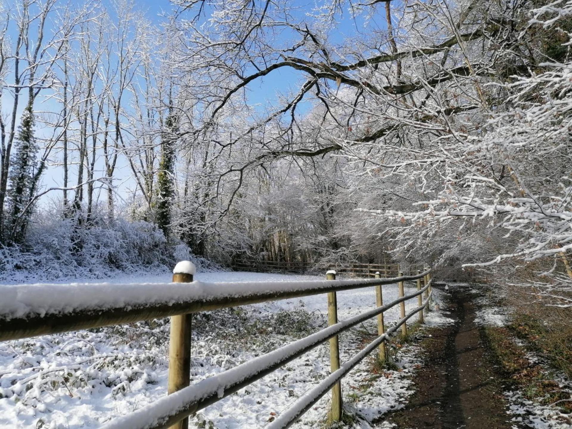 Les Hauts De Meez Dinant Exterior foto